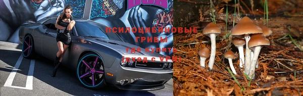 МДПВ Приозерск